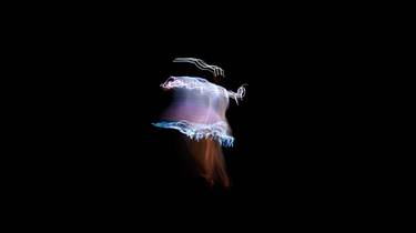 Original Abstract Expressionism Abstract Photography by Ludovico Cusmano