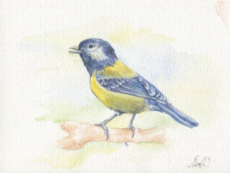 Blue Tit Bird | Bright Nature Watercolor Painting Original Painting by alisa cherkun drukman