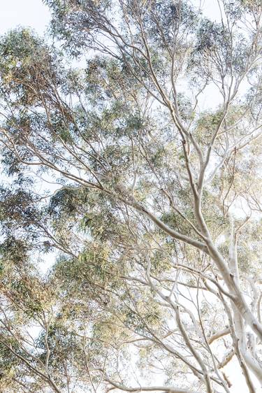 Original Installation Art Beach Photography by Caroline Pacula