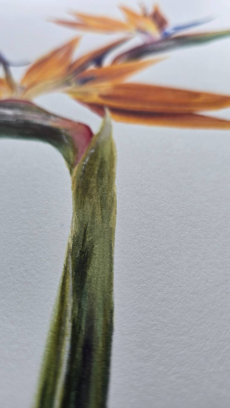 Original Figurative Botanic Painting by Aliya Bodnar
