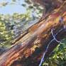 Nature always takes back what was borrowed.