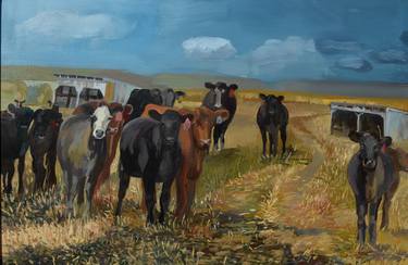 Print of Cows Paintings by David Cooper