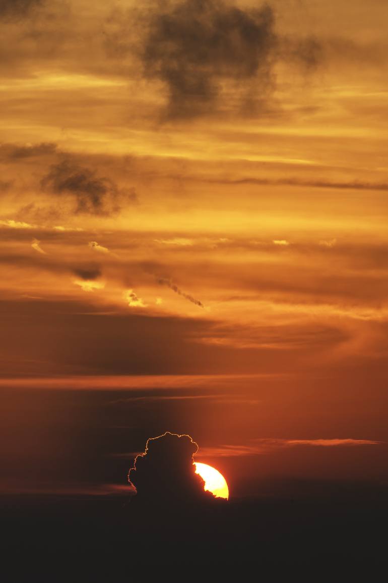 Original Contemporary Nature Photography by Phil Perkins