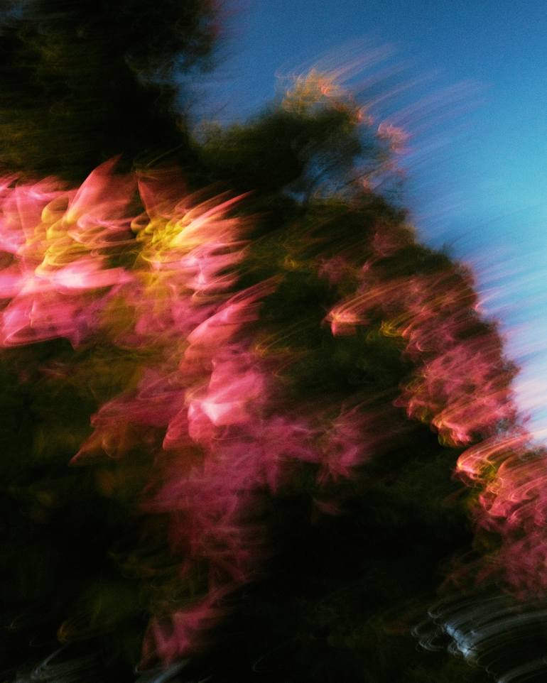 Print of Impressionism Abstract Photography by Max Levine