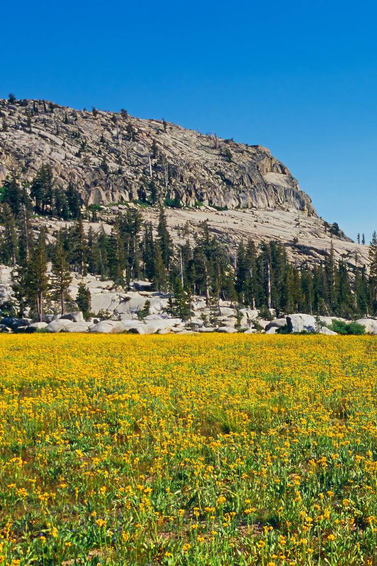 Original Contemporary Landscape Photography by Jesse Goff
