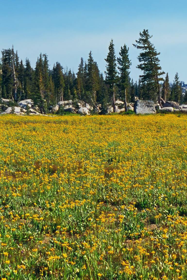 Original Contemporary Landscape Photography by Jesse Goff