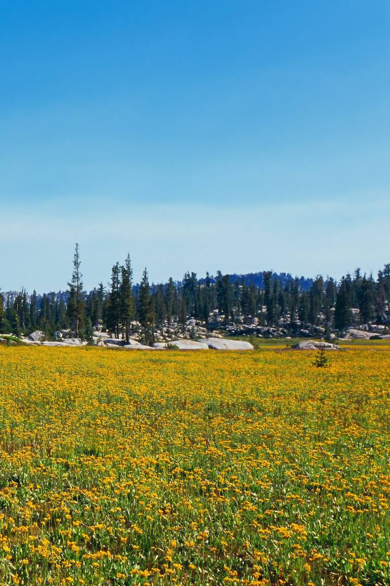 Original Contemporary Landscape Photography by Jesse Goff