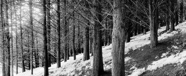Original Abstract Landscape Photography by Jesse Goff