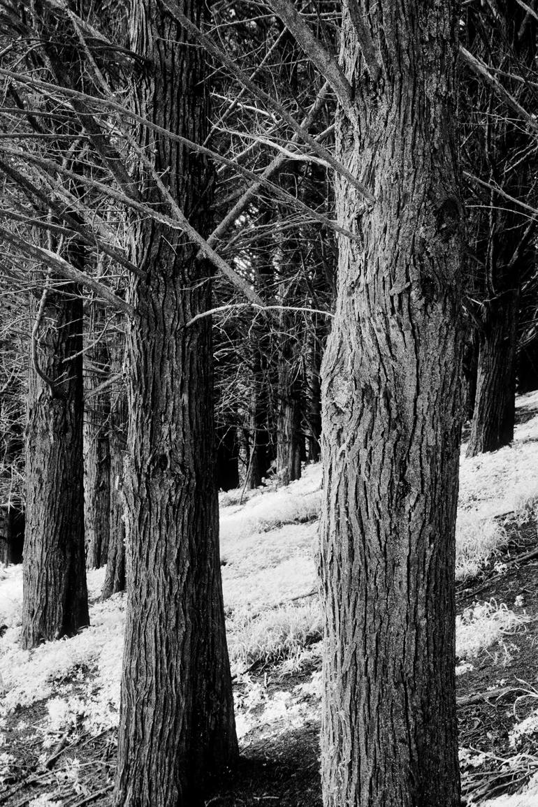 Original Abstract Landscape Photography by Jesse Goff