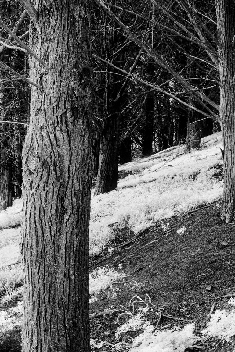 Original Abstract Landscape Photography by Jesse Goff