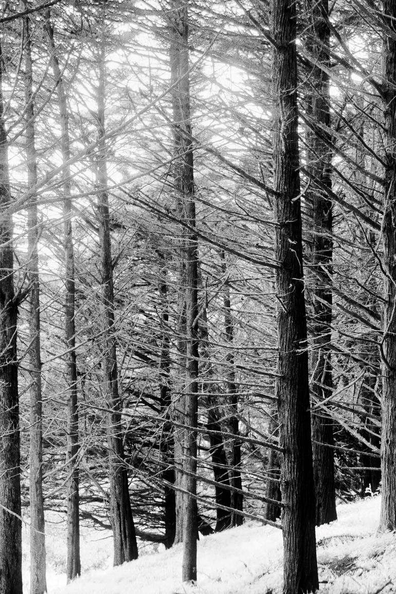 Original Abstract Landscape Photography by Jesse Goff