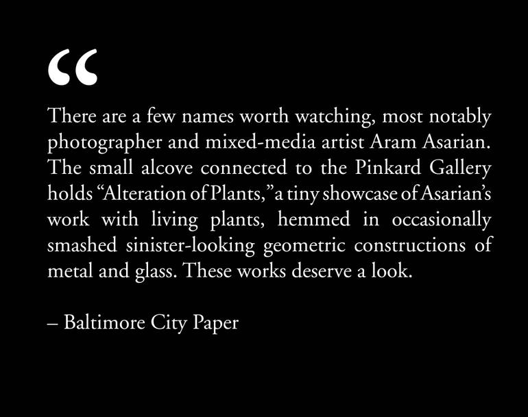 Original Modernism Nature Photography by Aram Asarian