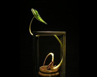 Print of Minimalism Botanic Sculpture by Aram Asarian