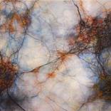 Network #21 by TD Heavican
