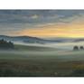 Canvas Print Dreamy foggy meadow wall art