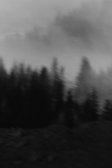 Original Abstract Expressionism Nature Photography by Low Z