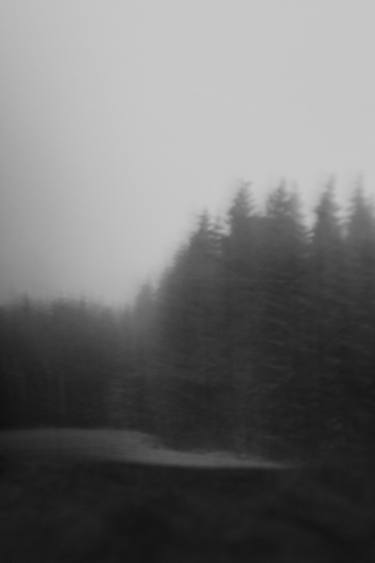 Original Abstract Expressionism Nature Photography by Low Z