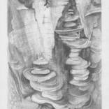 Fungal architecture/woody mushroom by Julia Suprun