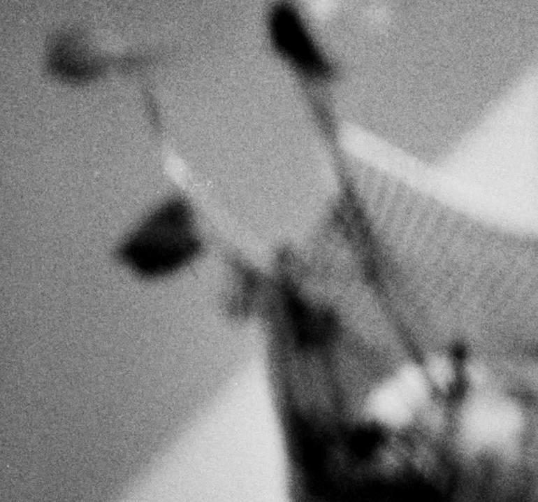 Original Black & White Home Photography by Andrea E Gallery