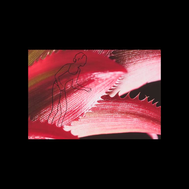 Original Conceptual Botanic Photography by Andrea E Gallery