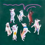 Collection Dog Days of Summer