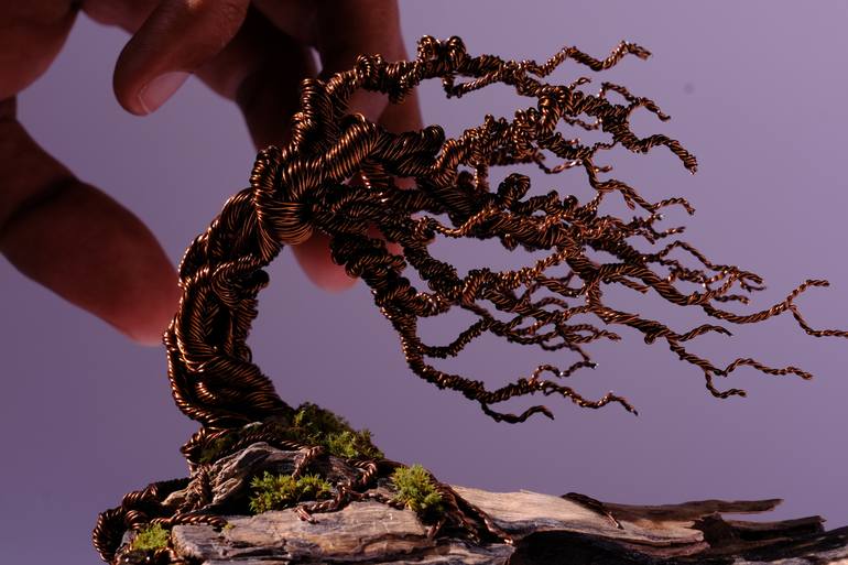Original Conceptual Nature Sculpture by Naman Mori