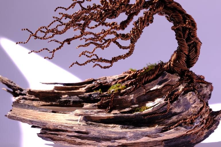Original Conceptual Nature Sculpture by Naman Mori