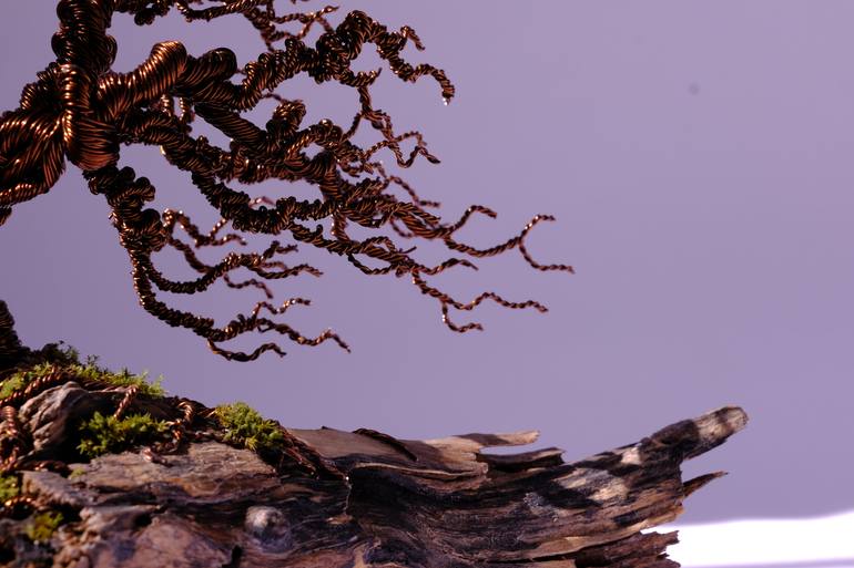 Original Conceptual Nature Sculpture by Naman Mori
