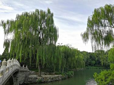 Original Realism Landscape Photography by Sergio Nikoso