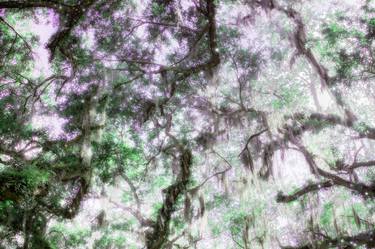 Original Digital Art Nature Photography by Natasha Fenga