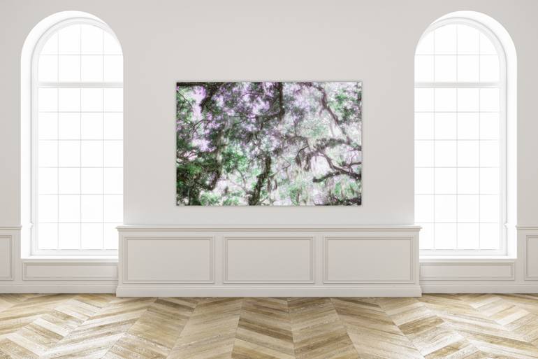 Original Digital Art Nature Photography by Natasha Fenga