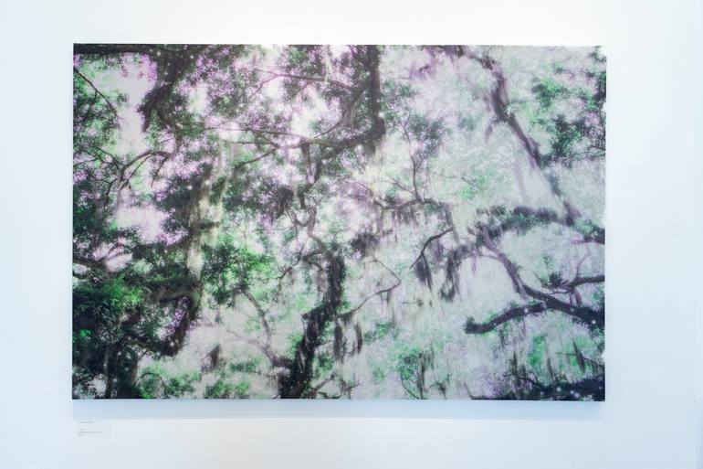 Original Digital Art Nature Photography by Natasha Fenga