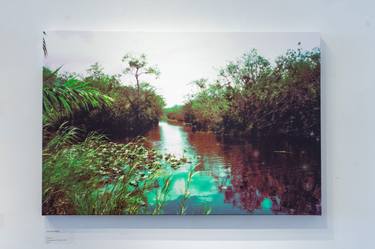 Original Digital Art Nature Photography by Natasha Fenga