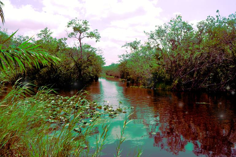 Original Digital Art Nature Photography by Natasha Fenga