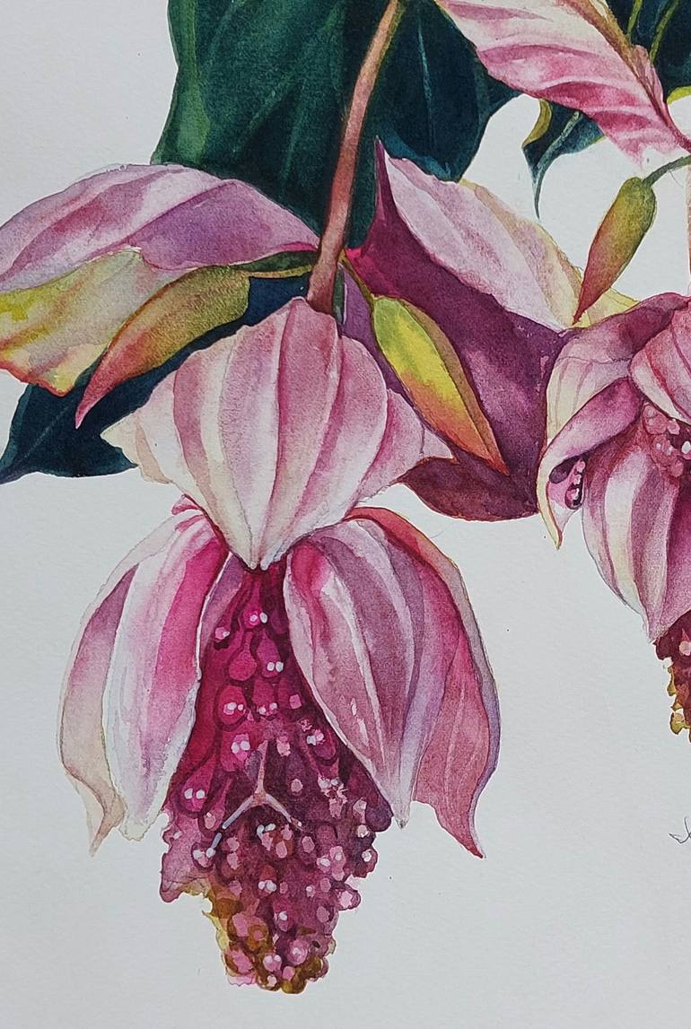 Original Contemporary Botanic Painting by Irina Chernitsky