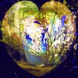 Collection Hearts