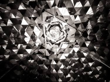 Original Abstract Patterns Photography by Aleksandra Miletić