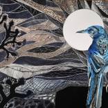 Scrub Jay by Hilary Martin