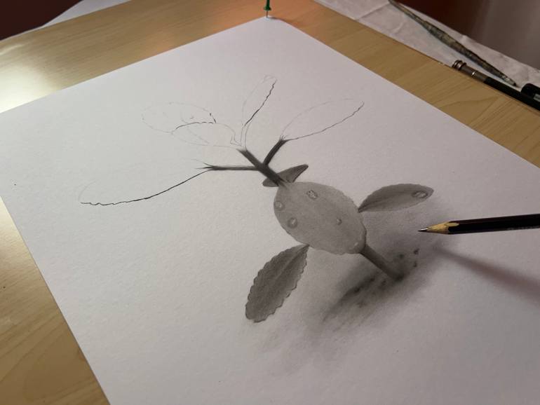 Original Symbolism Floral Drawing by Kojo Nyaaba W