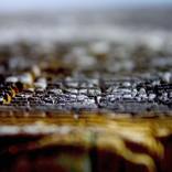 Ashes - Limited Edition 1 of 4 by Solange Foix