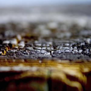 Ashes - Limited Edition 1 of 4