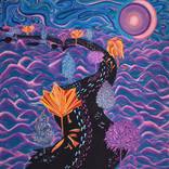 Collection Jewel Tones