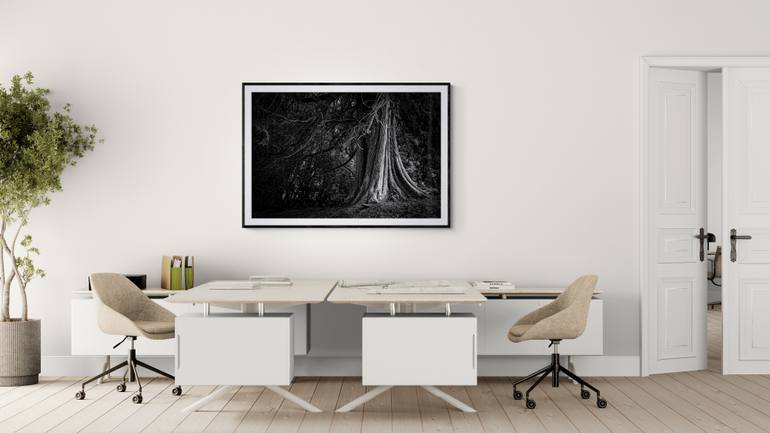 Original Black & White Landscape Photography by Michael Hart