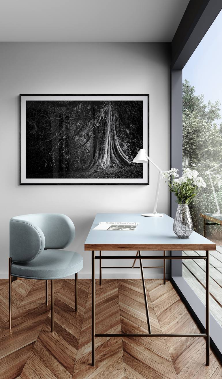 Original Black & White Landscape Photography by Michael Hart