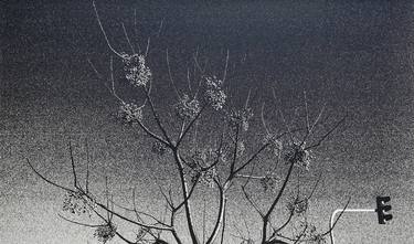 Original Black & White Landscape Printmaking by Bing-Chi Wu