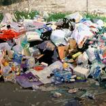 Wild Dump by Stephane Dillies