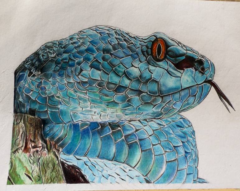 Original Realism Animal Drawing by Yogesh Assija