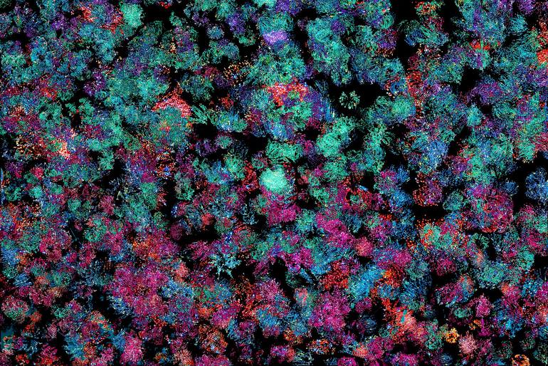 Original Abstract Photography by Saima Altunkaya Abstract Art on Paper Lumieres de lAvenue Montaigne 2 Original Abstract Photography by Saima Altunkaya Abstract Art on Paper Lumieres de lAvenue Montaigne 2