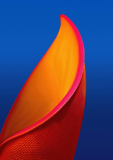 Original Abstract Expressionism Still Life Photography by Richard Gibson