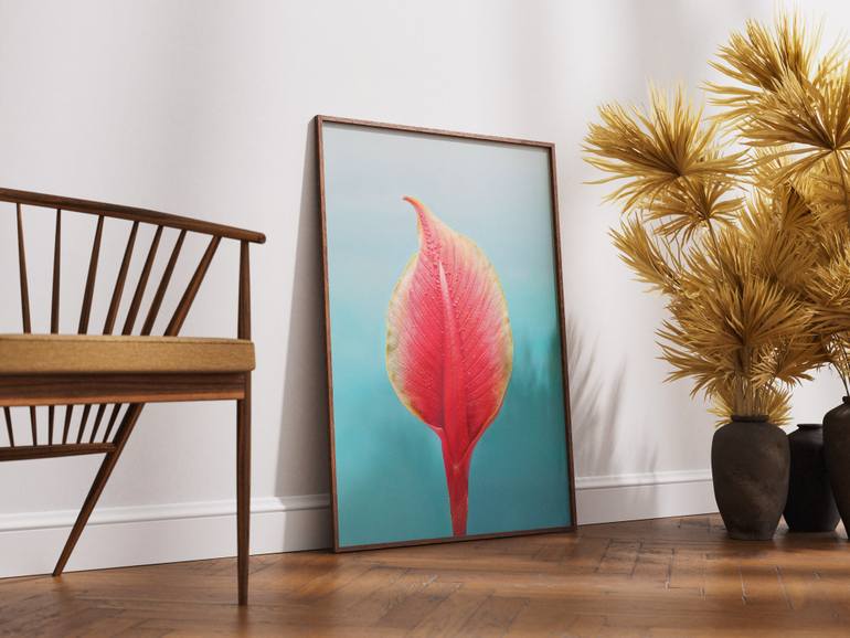 Original Expressionism Still Life Photography by Richard Gibson